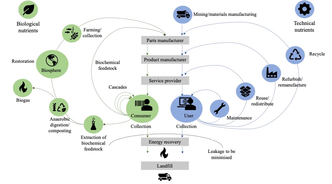 Circular Economy Meaning And Examples ∑ Sum